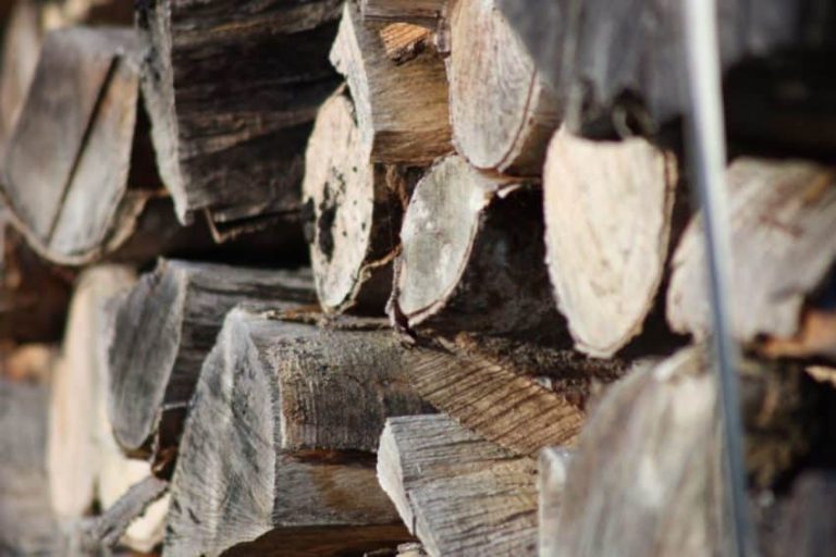 木材颗粒的完整指南：如何获取它们和用途