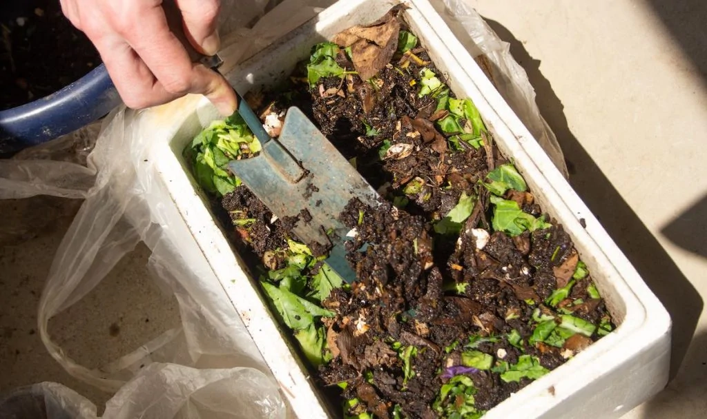 一个装满堆肥土壤和食物残渣的小箱子