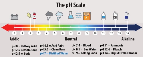 pH量表从0到14