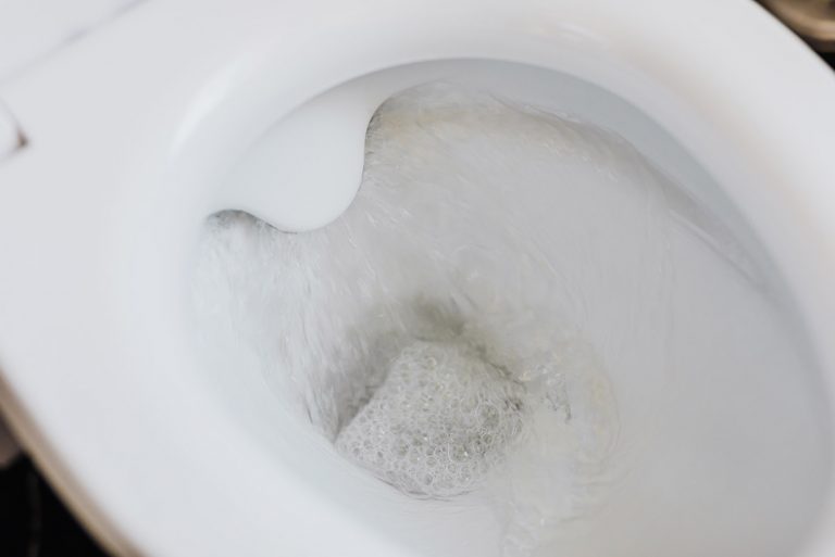 低冲洗厕所：优点，缺点和寻找什么