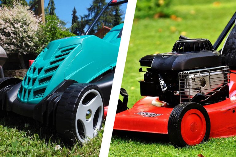 电动割草机和燃气割草机:哪个更好?