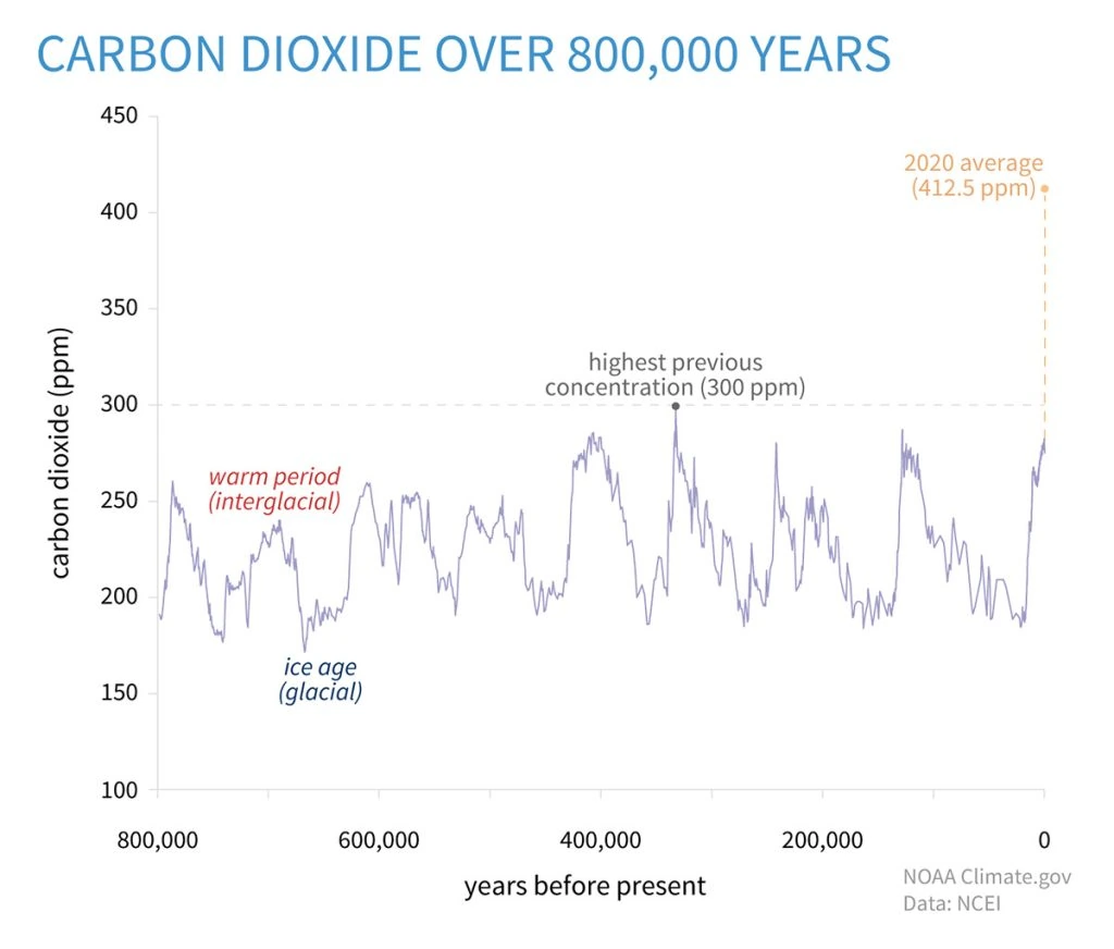 显示二氧化碳排放趋势的图表
