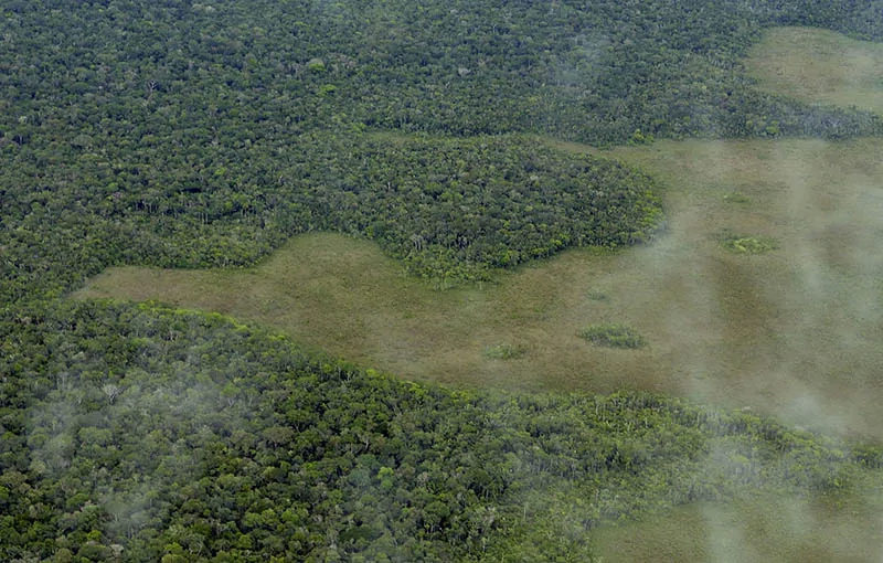 被砍伐的亚马逊雨林的景色